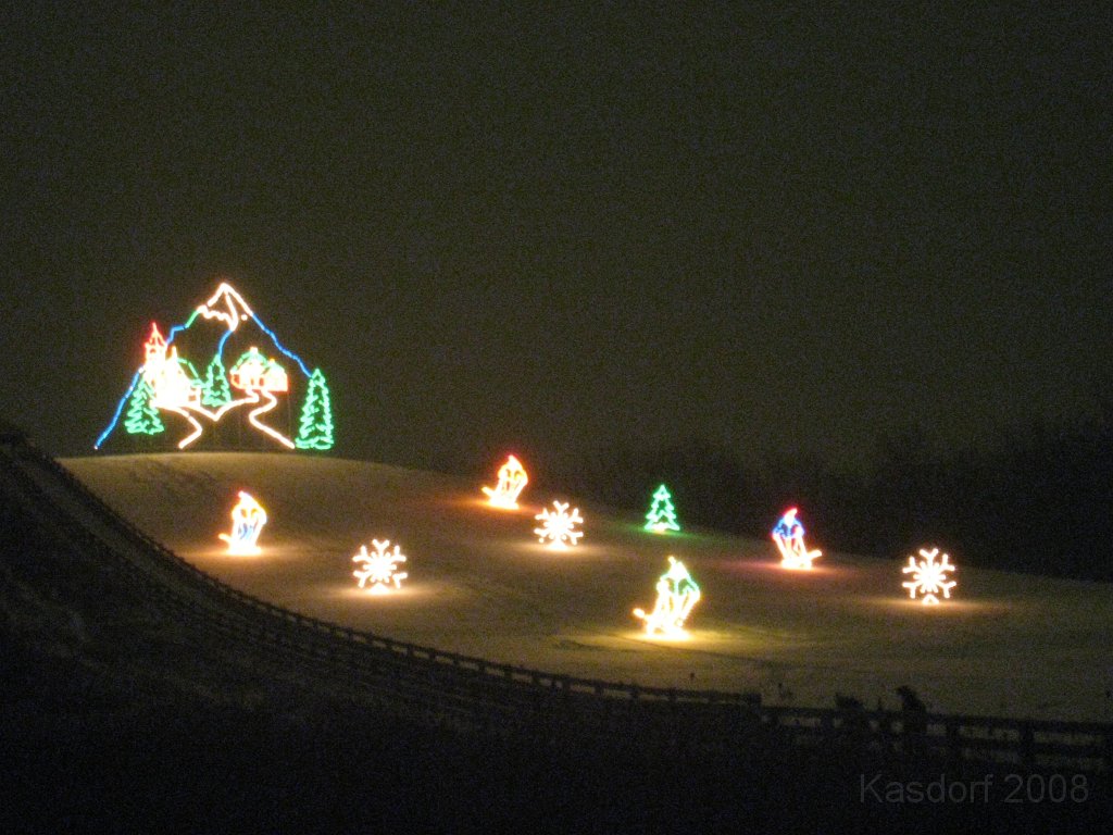Christmas Lights Hines Drive 2008 048.jpg - The 2008 Wayne County Hines Drive Christmas Light Display. 4.5 miles of Christmas Light Displays and lots of animation!